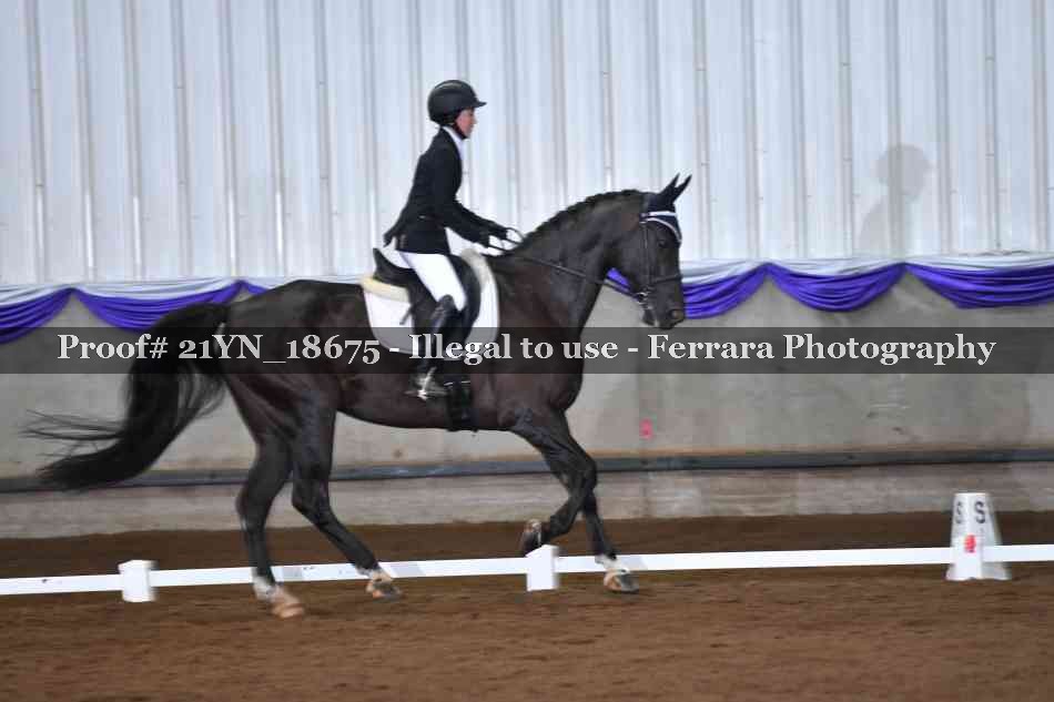 Proof 21YN_18675