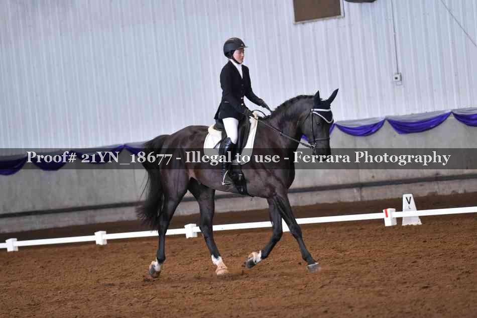 Proof 21YN_18677