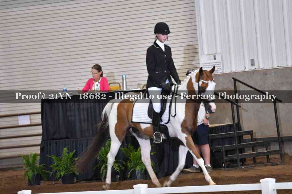 Proof 21YN_18682