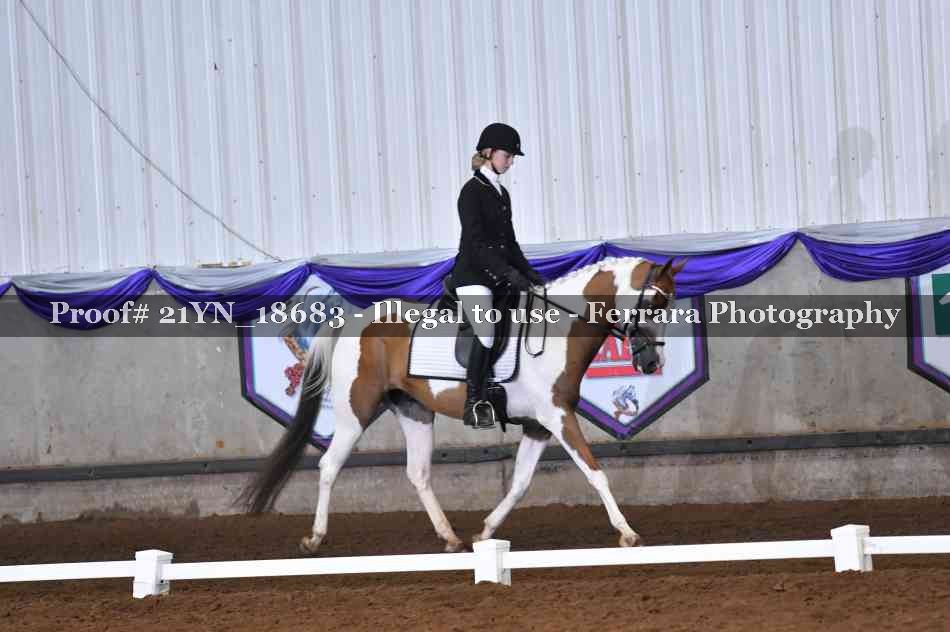 Proof 21YN_18683