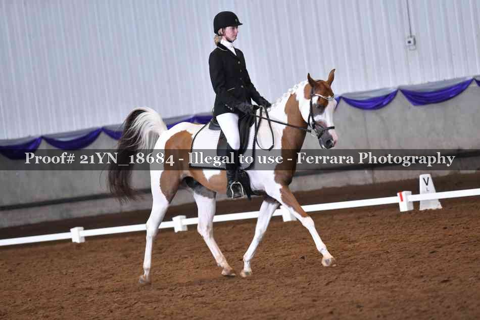 Proof 21YN_18684