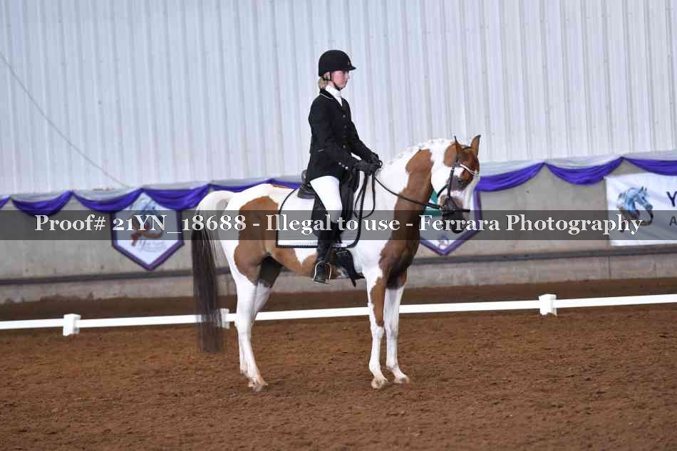 Proof 21YN_18688