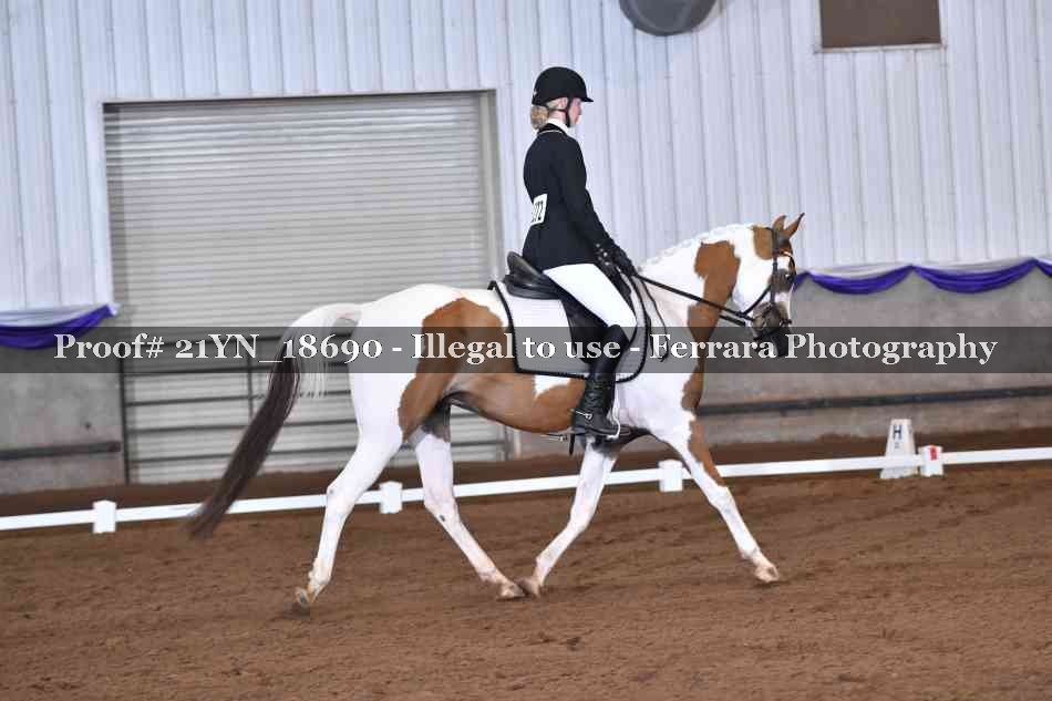 Proof 21YN_18690