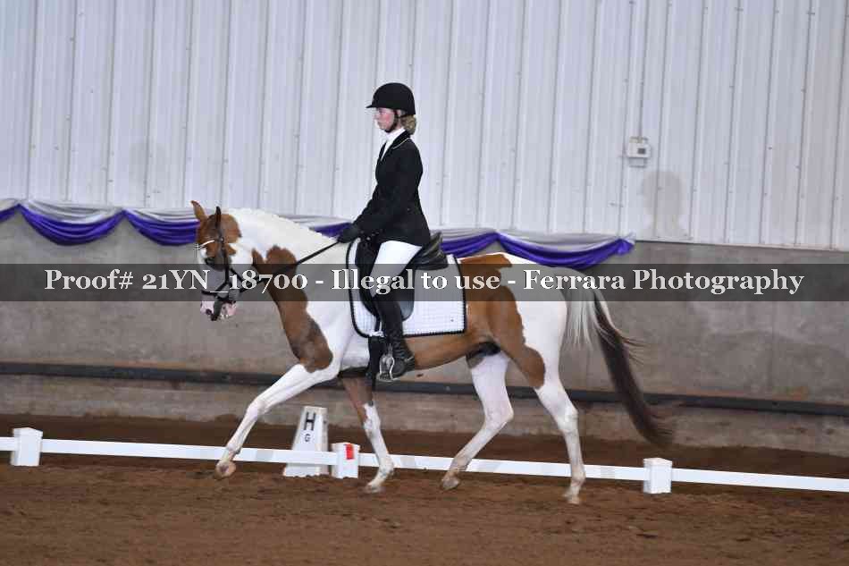 Proof 21YN_18700