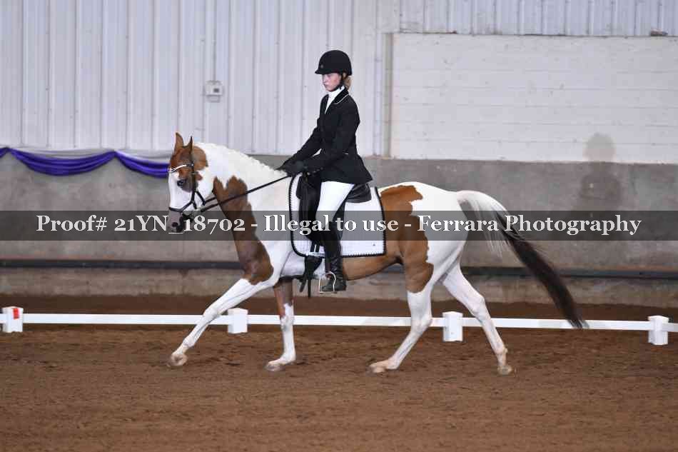 Proof 21YN_18702