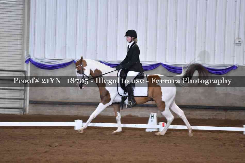 Proof 21YN_18705