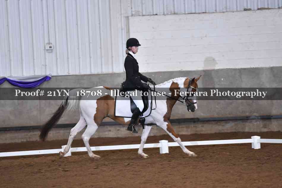 Proof 21YN_18708