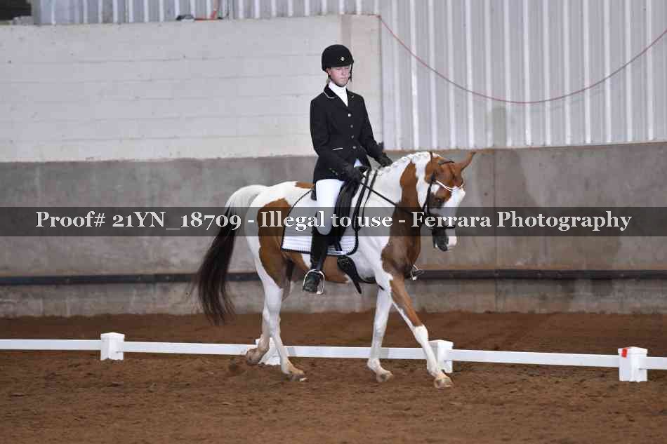 Proof 21YN_18709
