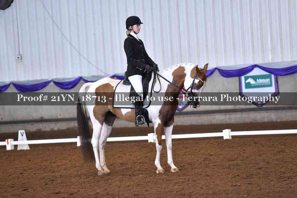 Proof 21YN_18713