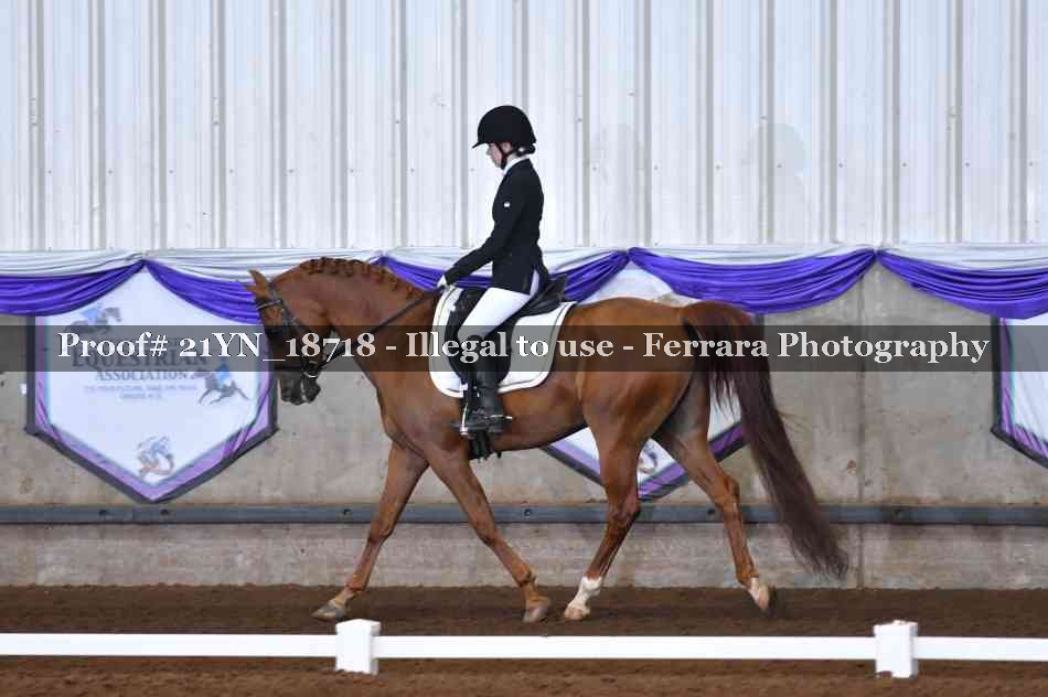 Proof 21YN_18718
