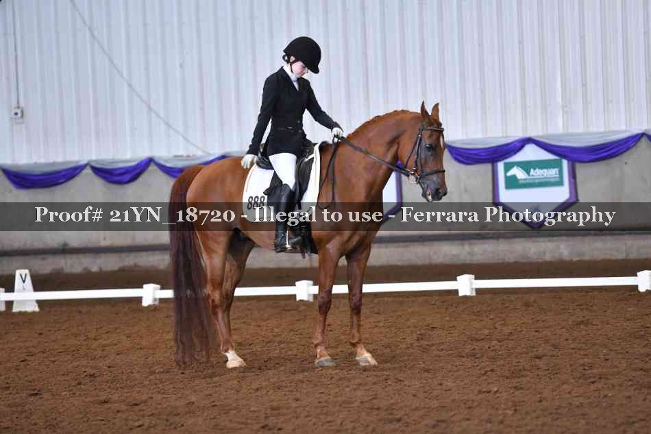 Proof 21YN_18720