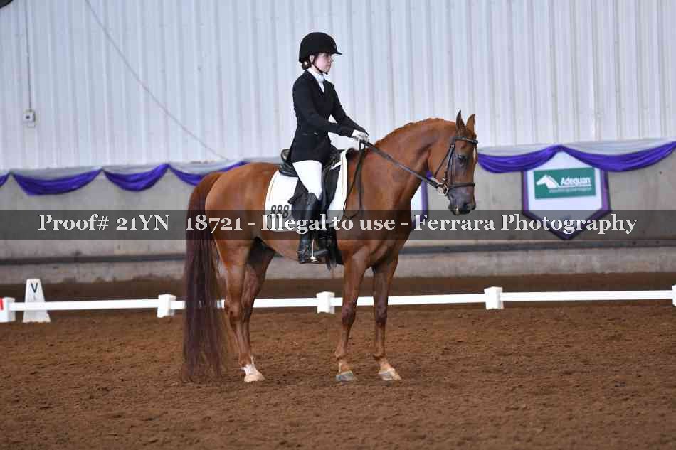 Proof 21YN_18721