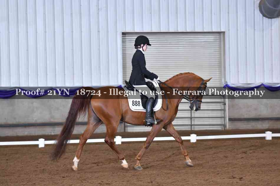 Proof 21YN_18724