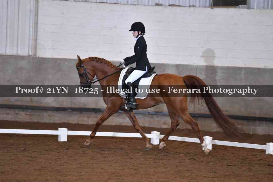 Proof 21YN_18725