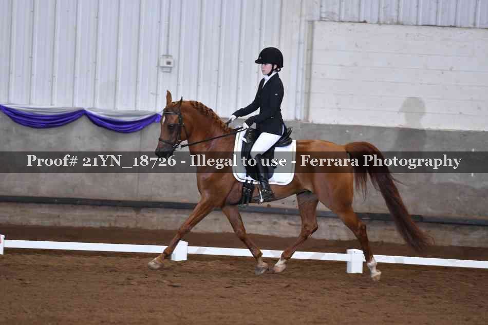 Proof 21YN_18726
