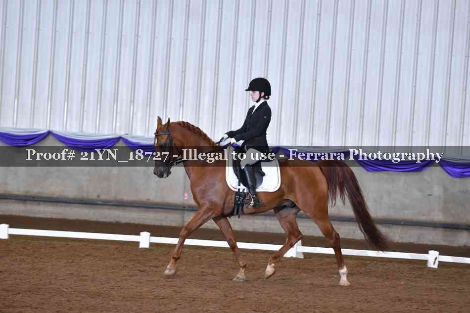 Proof 21YN_18727