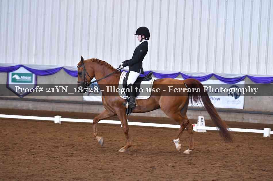 Proof 21YN_18728