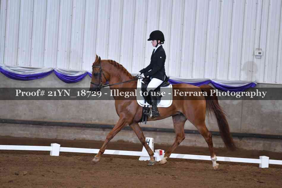 Proof 21YN_18729