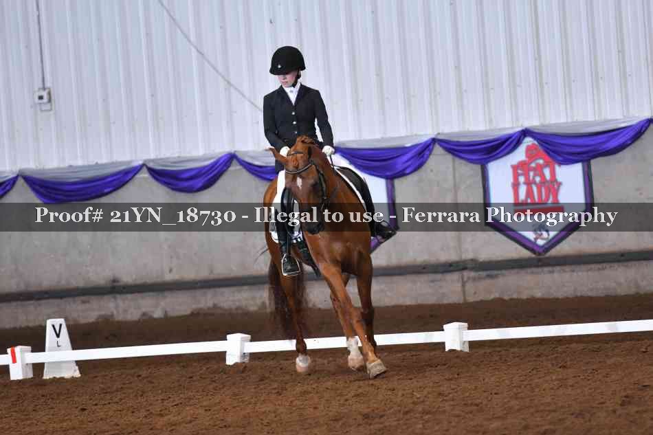 Proof 21YN_18730
