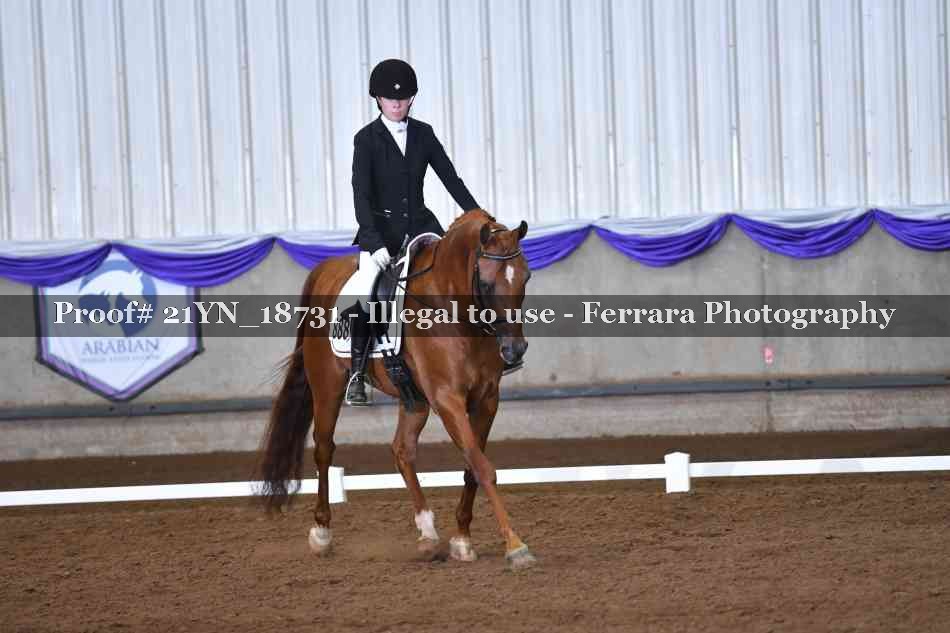 Proof 21YN_18731