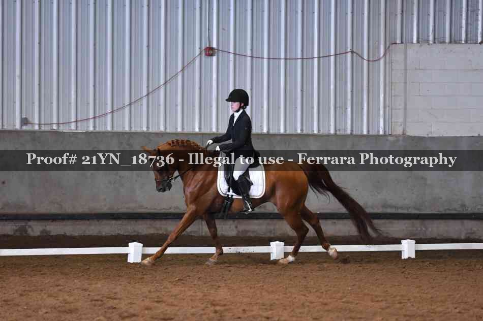 Proof 21YN_18736