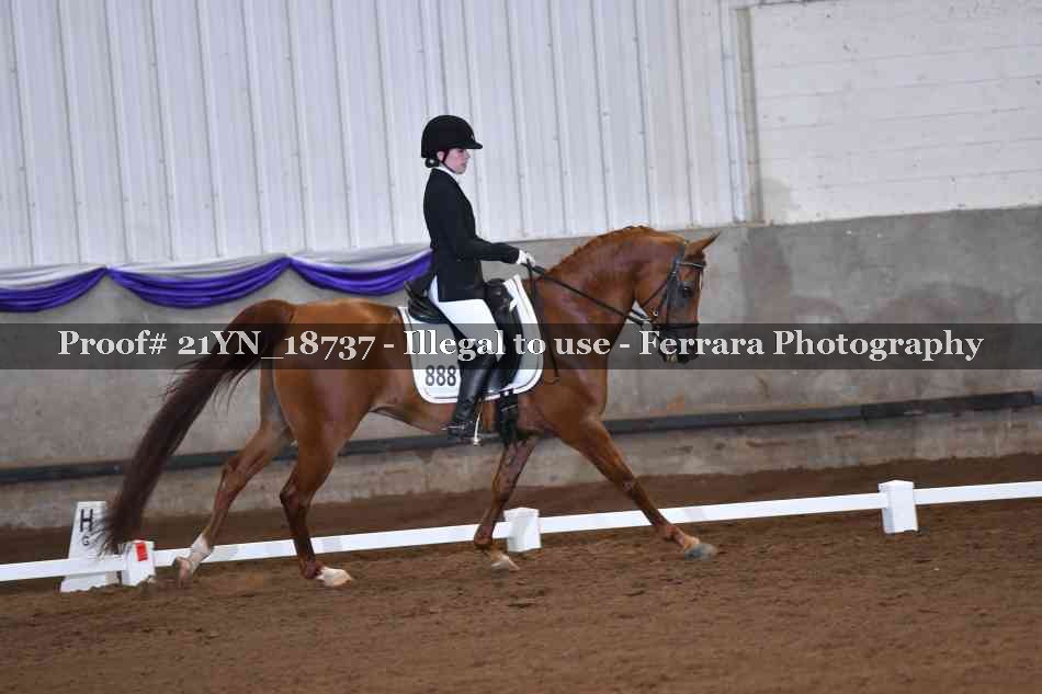 Proof 21YN_18737