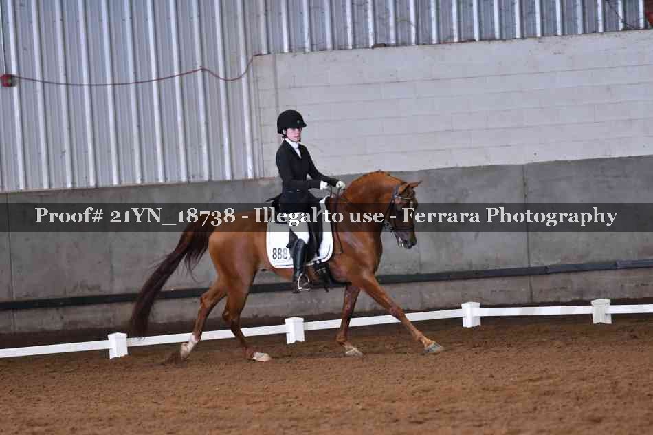Proof 21YN_18738