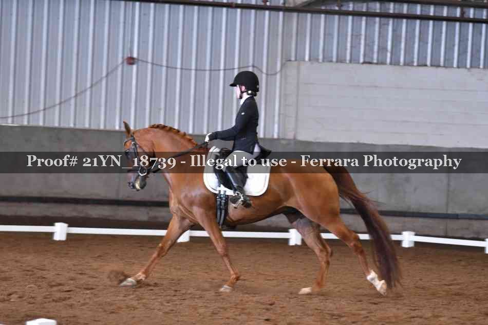 Proof 21YN_18739