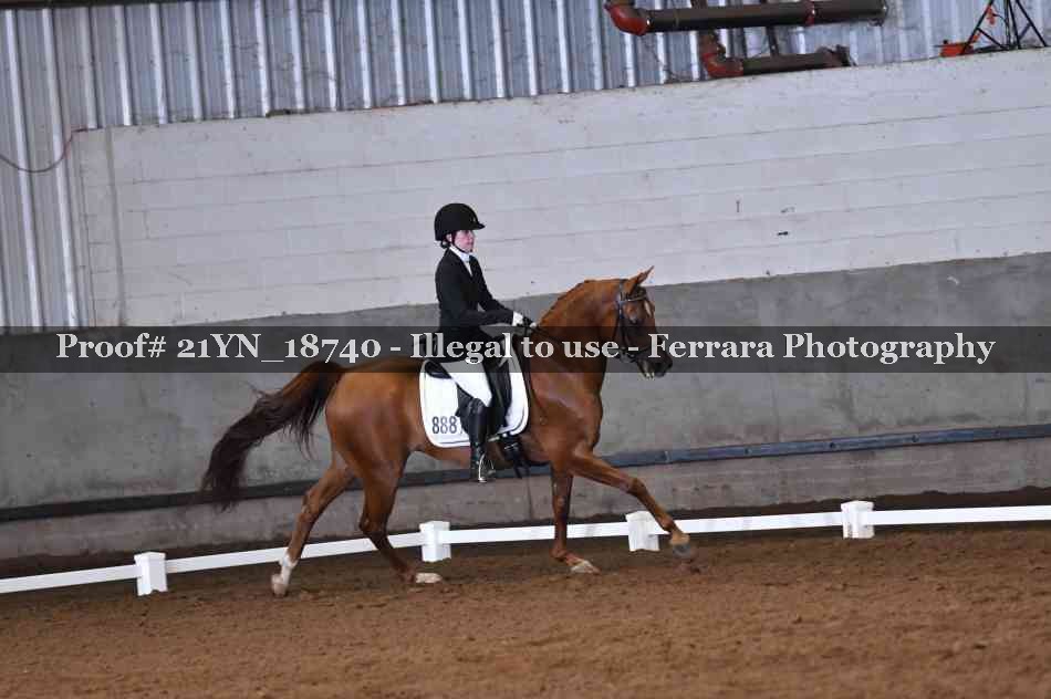 Proof 21YN_18740