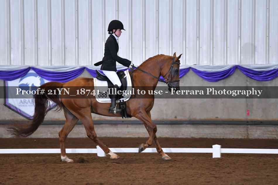 Proof 21YN_18741
