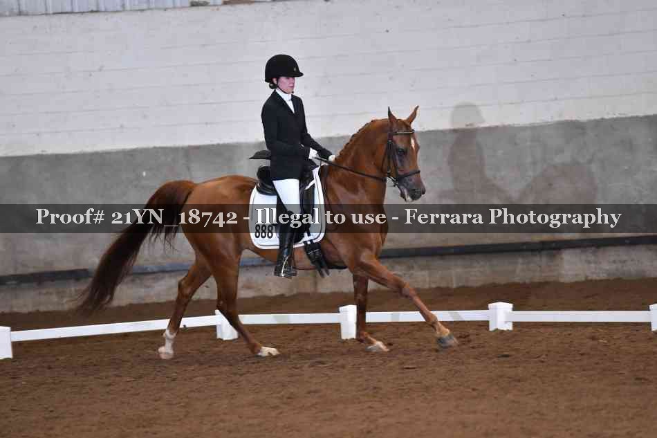 Proof 21YN_18742