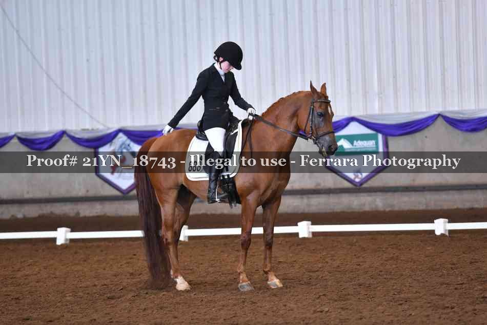 Proof 21YN_18743