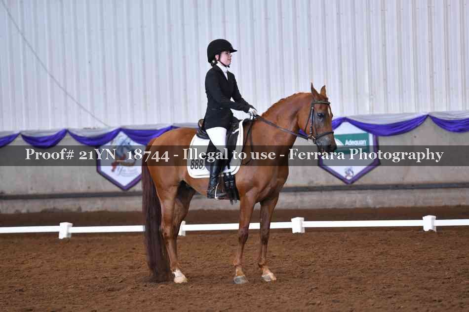 Proof 21YN_18744