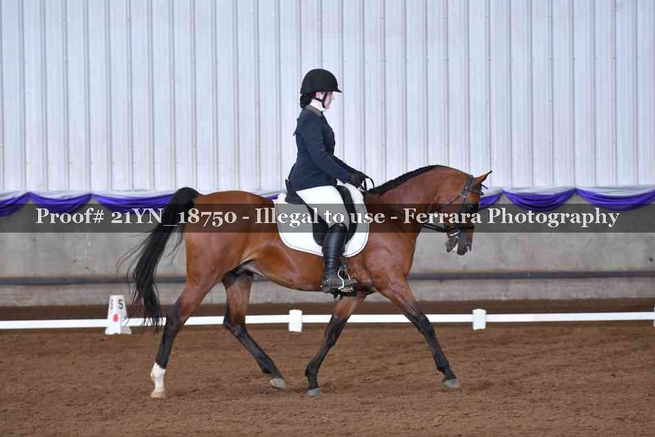 Proof 21YN_18750