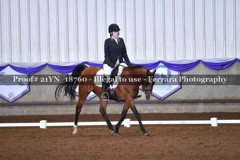 Proof 21YN_18760