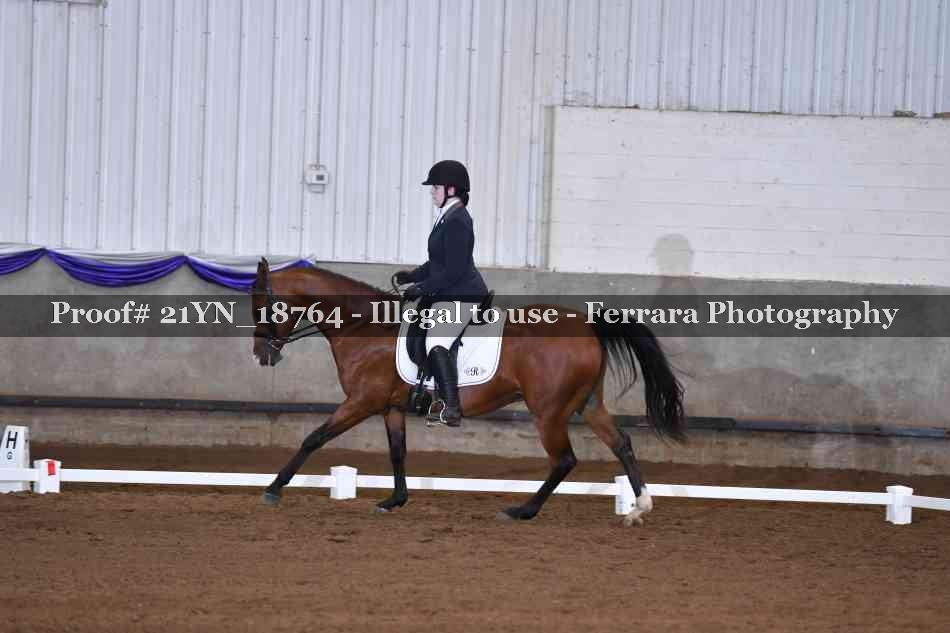 Proof 21YN_18764