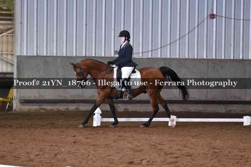 Proof 21YN_18766