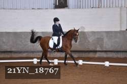 21YN_18767 proof