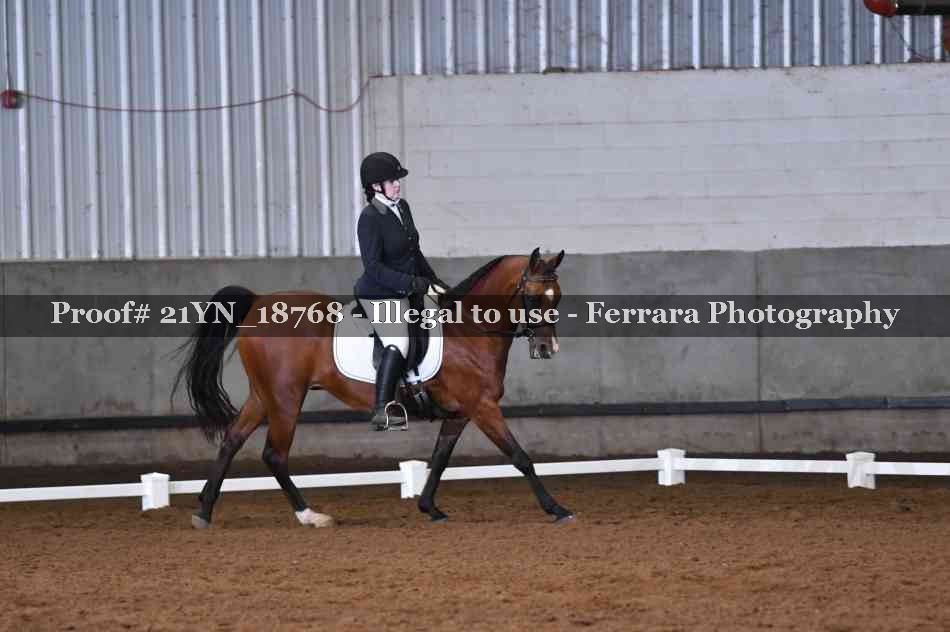 Proof 21YN_18768