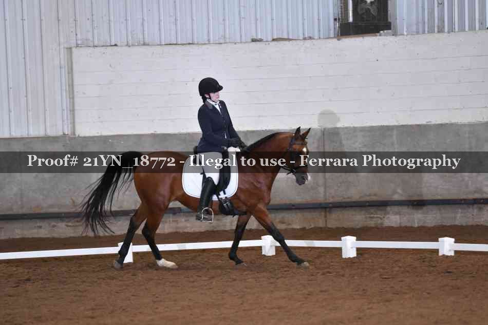 Proof 21YN_18772