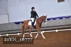 21YN_18777 proof