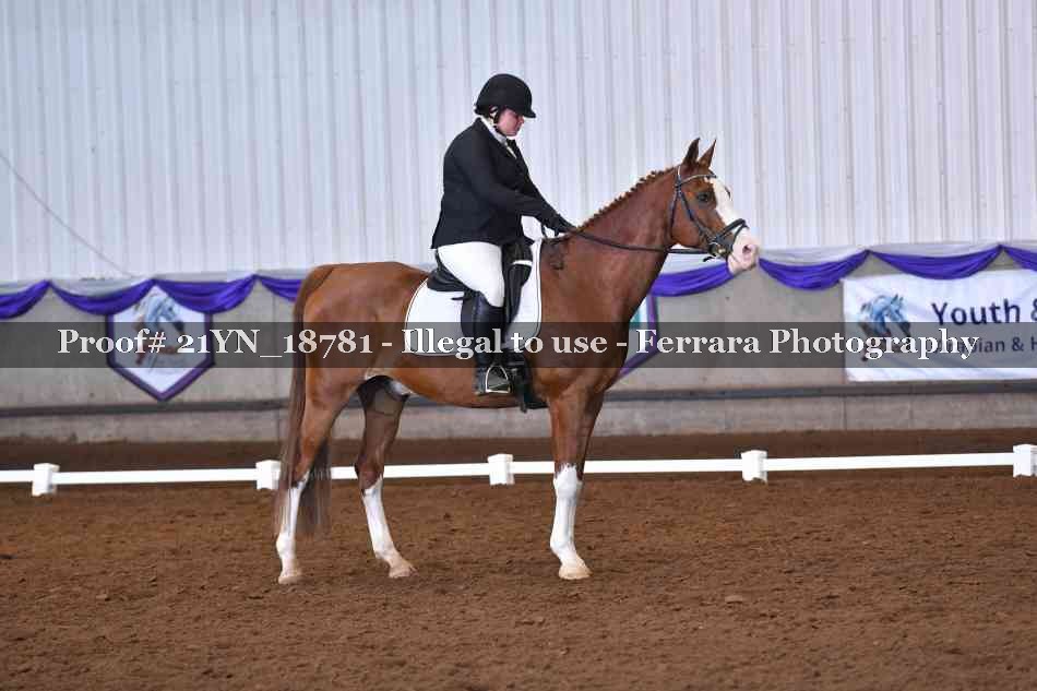 Proof 21YN_18781