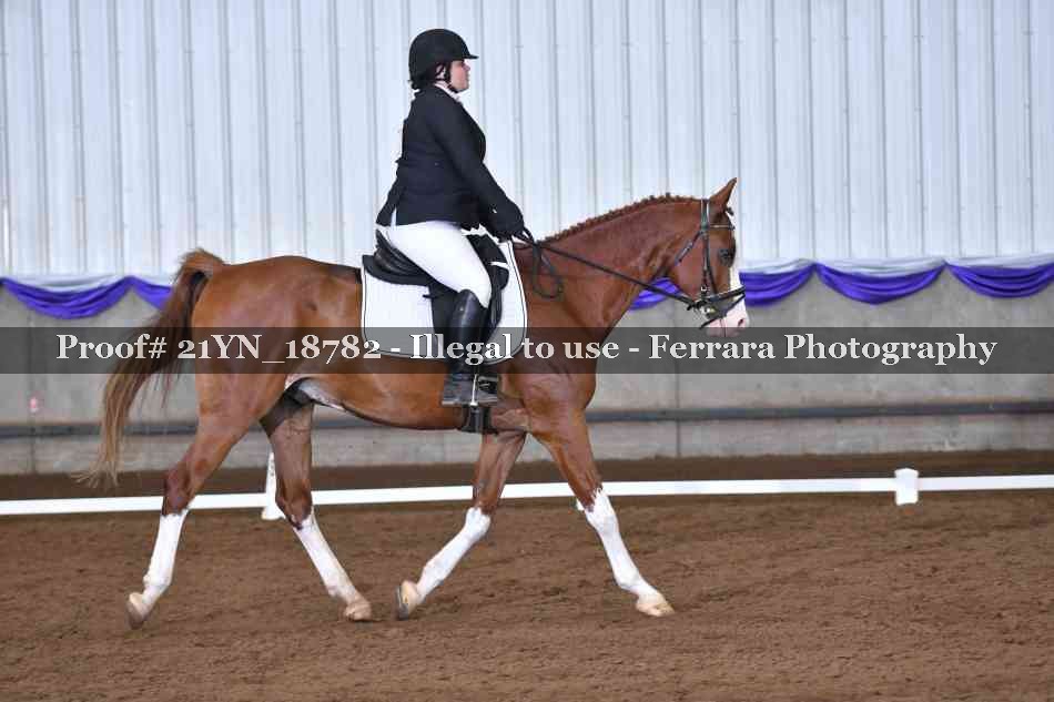 Proof 21YN_18782