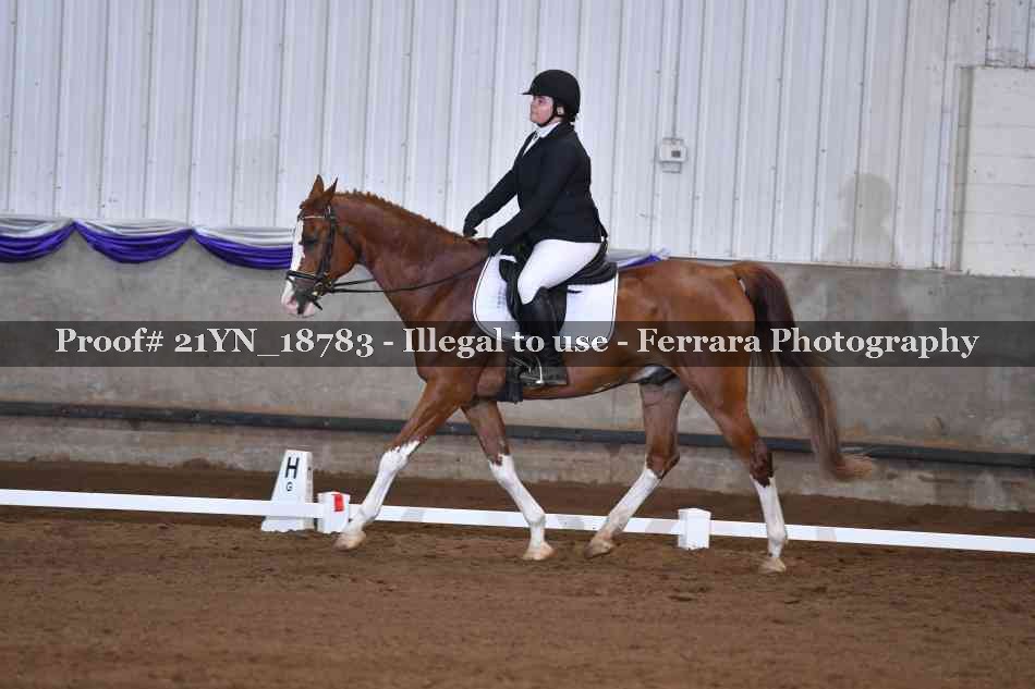 Proof 21YN_18783