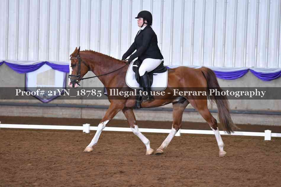 Proof 21YN_18785