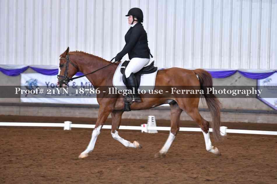 Proof 21YN_18786