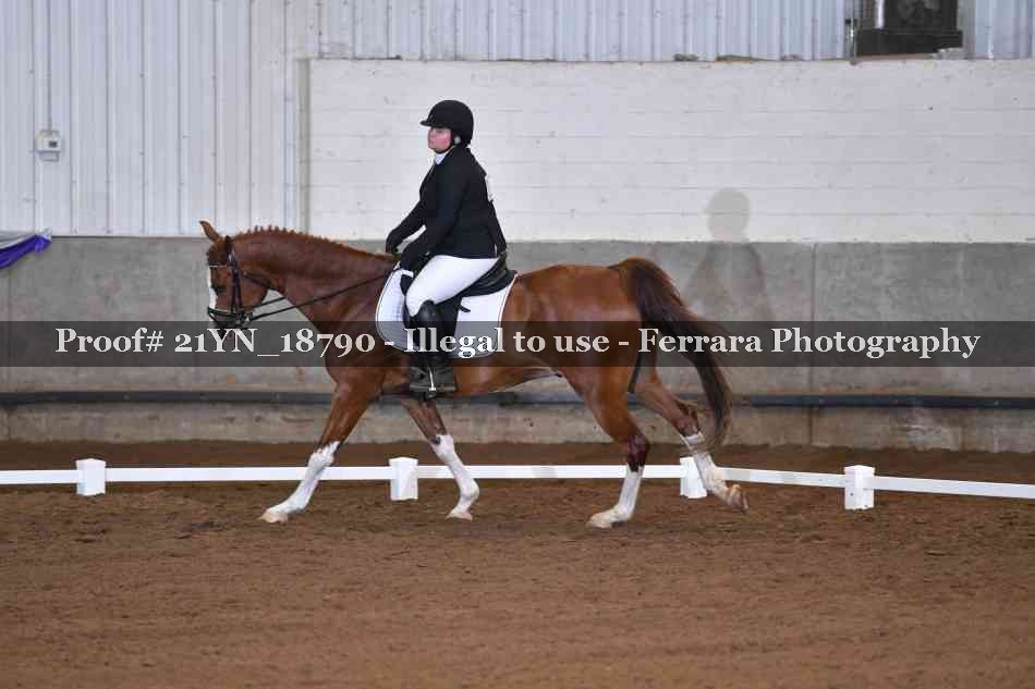 Proof 21YN_18790