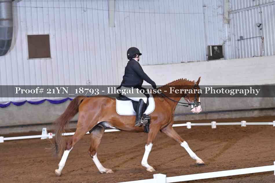 Proof 21YN_18793