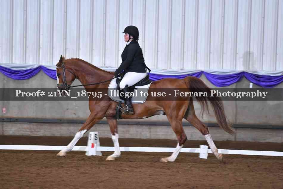 Proof 21YN_18795