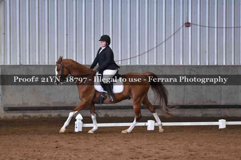 Proof 21YN_18797